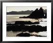 Lone Fisherman On Rocks At Sunrise In Russell, Bay Of Islands, Northland, New Zealand by Stephen Saks Limited Edition Print