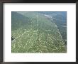 Newly Planted Oil Palm, Plantations, Lowland Dipterocarp Rainforest, Sabah, Borneo, Malaysia by James Aldred Limited Edition Print