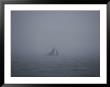 A Cat Boat Braves Foggy Stormy Weather by Bill Curtsinger Limited Edition Pricing Art Print
