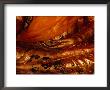 Detail Of Hand Of Gilded Buddha Statue At Wat Chong Lom, Samut Sakhon, Thailand by Tom Cockrem Limited Edition Print