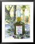 Olive Oil, Tuscany, Italy by Bruno Morandi Limited Edition Print