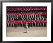 Trooping The Colour, London, England, United Kingdom by Hans Peter Merten Limited Edition Print