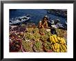 Vendor Selling Fruit At The Fish Market, Tripoli, Tarabulus, Libya by Doug Mckinlay Limited Edition Pricing Art Print