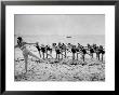 Girls Of The Children's School Of Modern Dancing, Rehearsing On The Beach by Lisa Larsen Limited Edition Print