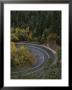 Aerial View Of A Runner On A Winding Road In Oak Creek Canyon by John Burcham Limited Edition Print