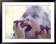 Girl Eating Raspberries, Bellingham, Washington, Usa by Steve Satushek Limited Edition Print