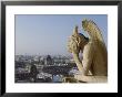 Gargoyle And Views Of Paris From Notre Dame by Richard Nowitz Limited Edition Print