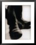 Close-Up Of Cowboy Boots by Joseph Hancock Limited Edition Pricing Art Print