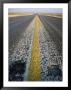 A View Of The Long Straight Road Out Of Mentone by Jodi Cobb Limited Edition Print