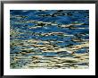 Sunlight Reflecting On The Rippling Water by Todd Gipstein Limited Edition Print