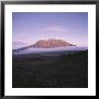 View Of Snow-Capped Mount Kilimanjaro From Mawenzi Tarn by David Pluth Limited Edition Pricing Art Print