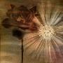 Ethereal Bloom Square Ii by Chris Zalewski Limited Edition Pricing Art Print