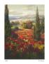 Fields Of Italia Ii by Roberto Lombardi Limited Edition Print