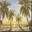 Caribbean Waters by Paulsen Limited Edition Print