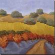Hillside Vineyard Ii by Kathryn Steffen Limited Edition Print