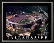 Florida State - Tallahassee, Fl by Brad Geller Limited Edition Pricing Art Print