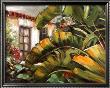 Tropical Hideaway I by Carol Hallock Limited Edition Print