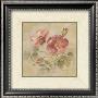 Burgundy Rose On Antique Linen by Cheri Blum Limited Edition Print