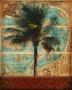 Indian Palm by Mauricio Higuera Limited Edition Print