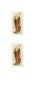 Angel With Trombone, 15Th Century (Right Detail) by Fra Angelico Limited Edition Print