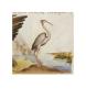 Egret by Pietro Candido Decembrio Limited Edition Pricing Art Print