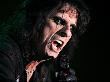 Alice Cooper by Nick Elliott Limited Edition Print