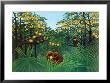 The Tropics by Henri Rousseau Limited Edition Pricing Art Print