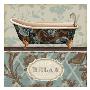 Bathroom Bliss I by Lisa Audit Limited Edition Pricing Art Print