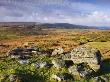 Granite Boulders On Hayne Down, Dartmoor National Park, Devon, England, United Kingdom, Europe by Adam Burton Limited Edition Pricing Art Print