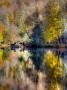 Autumn Colours by Nejdet Duzen Limited Edition Print