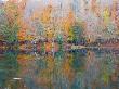 Autumn Colors2 by Nejdet Duzen Limited Edition Pricing Art Print