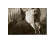 Lela's Unicorn by Barry Hart Limited Edition Pricing Art Print