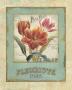 Flower Shop Ii by Daphne Brissonnet Limited Edition Print