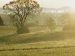 Early Morning Mist Hangs Over A Farm In Tennessee by Stephen Alvarez Limited Edition Print