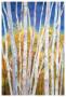 Serene White Birches by Sharon Pitts Limited Edition Pricing Art Print