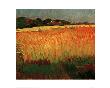 Corn Field Near Carantec by Alexej Von Jawlensky Limited Edition Print