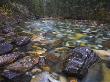 Shallow Rocky River At The Beginning Of Johnston Canyon, Banff National Park, Alberta, Canada by Adam Burton Limited Edition Print