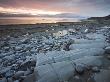 Eroded Rock Ledges At Kilve In Somerset, England, United Kingdom, Europe by Adam Burton Limited Edition Print