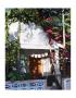 Conch Cottage 2 by Kurt Novak Limited Edition Pricing Art Print