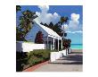 Conch Republic 01 by Kurt Novak Limited Edition Pricing Art Print