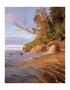 Elliott Creek by Danny Burk Limited Edition Pricing Art Print