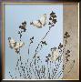 Butterflies by Caroline Gold Limited Edition Pricing Art Print