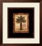 Pacific Palm by Chad Barrett Limited Edition Print