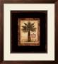 Pacific Palm by Chad Barrett Limited Edition Pricing Art Print