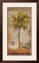 Palm Tree Ii by Kemp Limited Edition Print