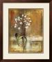 Gentle Blossoms I by Silvia Vassileva Limited Edition Print