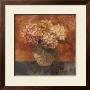 Hydrangea Study Ii by Albena Hristova Limited Edition Pricing Art Print