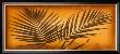 Sepia Palms I by Thomas Kalwa Limited Edition Pricing Art Print