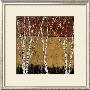 Autumn Birches I by Guido Borelli Limited Edition Pricing Art Print