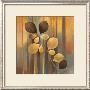 Autumn Elegance Ii by Elaine Vollherbst-Lane Limited Edition Print